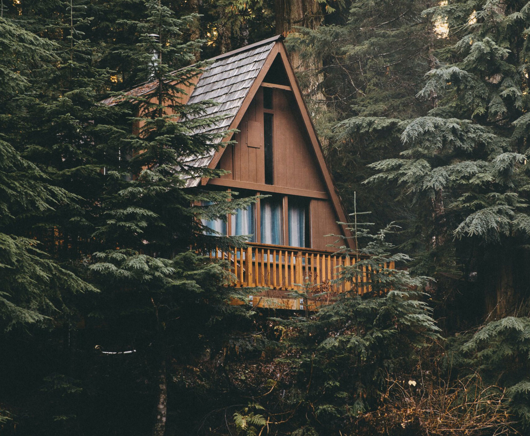 david-kovalenko-9-qFzV9a2Zc-unsplash-scaled-new